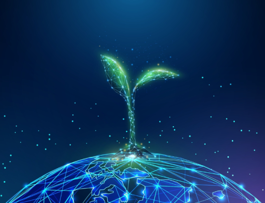 Technology & Environment