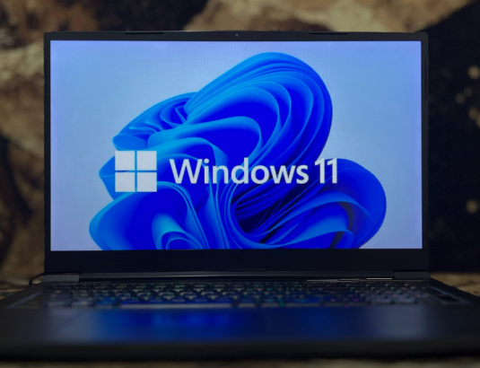 Windows 11